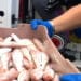 Prov. Catania. Attività conservava il pesce in un bagno pubblico