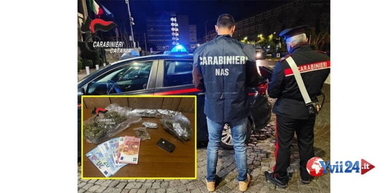 Catania. Arresto per spaccio; fermo equini senza microchip