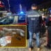 Catania. Arresto per spaccio; fermo equini senza microchip