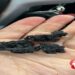 Etna. Continua la caduta di cenere verso Biancavilla e Adrano