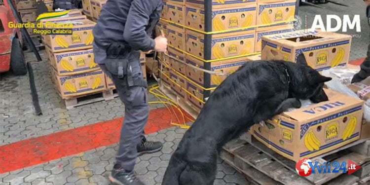Italia. Sequestro di 2700 kg di cocaina purissima
