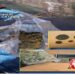 Bronte. In auto con droga e monete rubate: arrestate due persone
