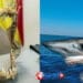 Palermo. Viaggiava in aereo con una mandibola di squalo