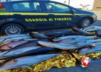 Sicilia. Pesca di frodo a Capo Gallo: denunciato un uomo