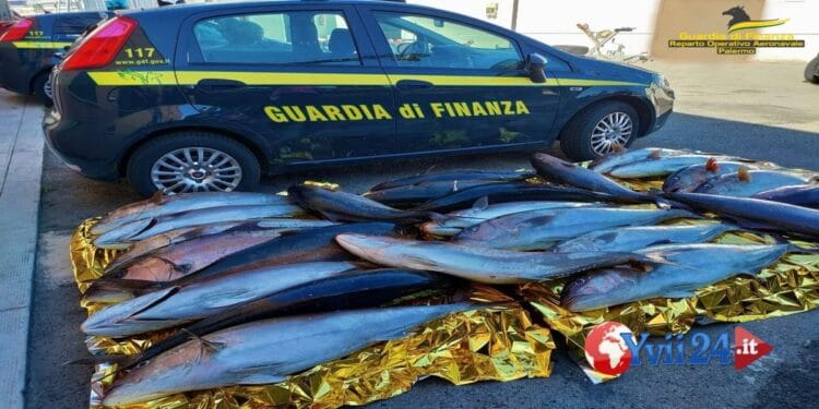 Sicilia. Pesca di frodo a Capo Gallo: denunciato un uomo