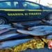 Sicilia. Pesca di frodo a Capo Gallo: denunciato un uomo