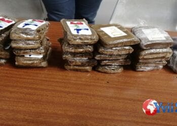 Catania. Sequestrate ingenti quantità di hashish e marijuana
