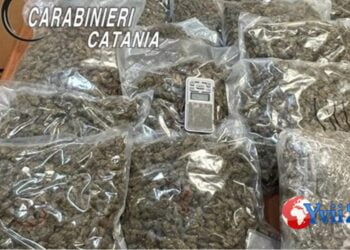 Catania. Auto piena di marijuana, ai domiciliari pregiudicato