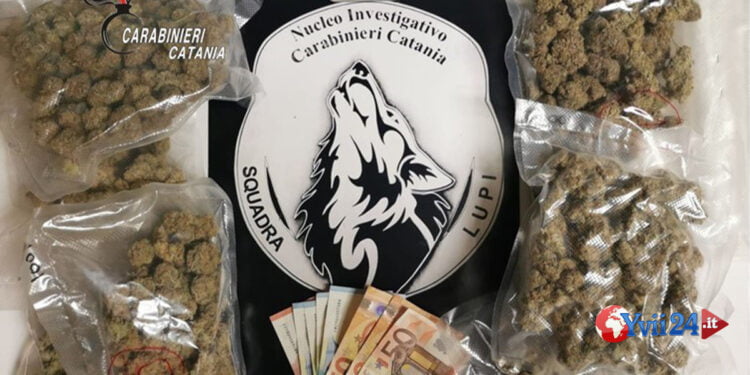 Catania. Arrestato giovane “bene” spacciatore