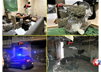 Catania. Sequestrata serra e 15 kg di marijuana confezionata