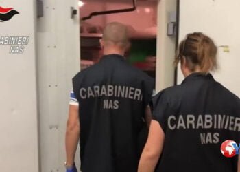 Catania. Sigilli a 400 chili di alimenti e multe per oltre € 8.000