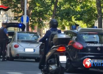 Catania. Contrasto a illegalità, sanzionati 3 fruttivendoli