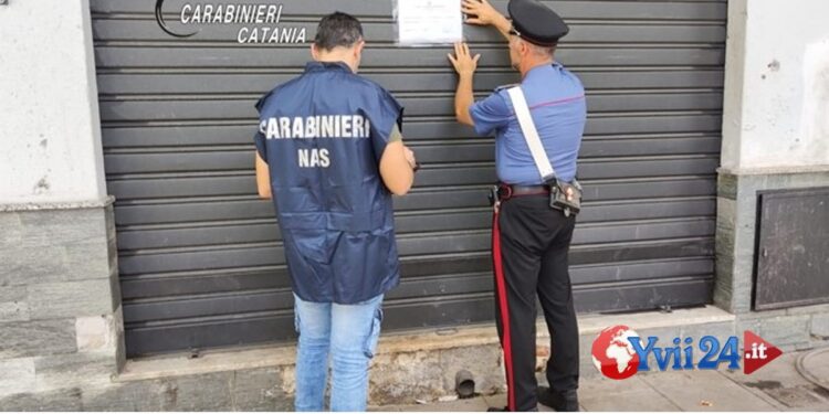Prov. Catania. Denunciato titolare rivendita frutta e verdura