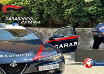 Prov. Catania. Ruba televisore da negozio, arrestato 29enne