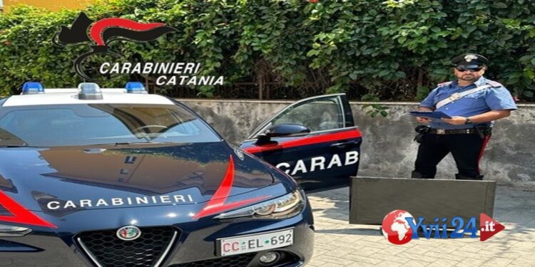 Prov. Catania. Ruba televisore da negozio, arrestato 29enne