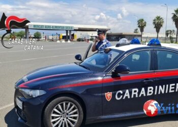 Catania. Carabinieri setacciano San Leone e Nesima: una denuncia