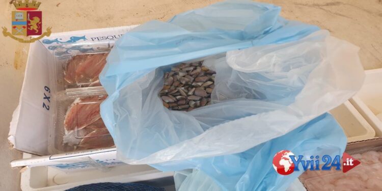 Catania. Pesce senza tracciabilità in autocarro: sanzionato