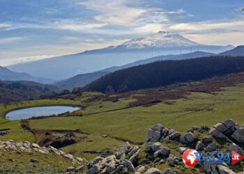 Sicilia. Due bossoli per l’ex presidente del parco