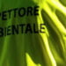 Sicilia. Quegli ispettori ambientali fantasma, revocati