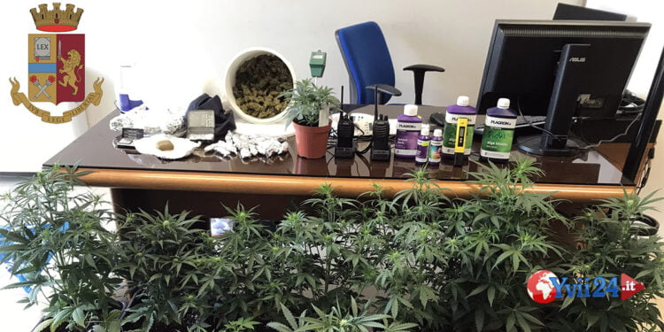 Sicilia. Serra indoor di stupefacenti, due arresti