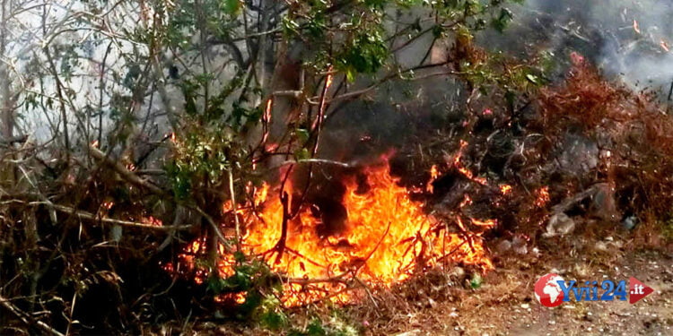 Sicilia. Anziana brucia sterpaglie e muore tra le fiamme