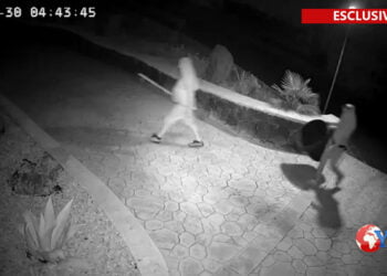 Biancavilla. Ladri di piante in azione (GUARDA VIDEO)