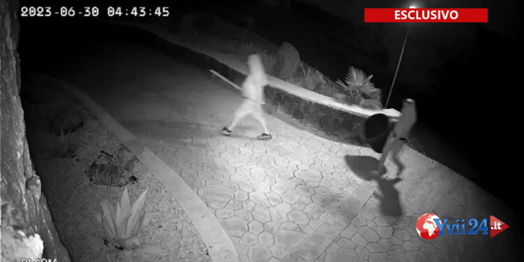 Biancavilla. Ladri di piante in azione (GUARDA VIDEO)