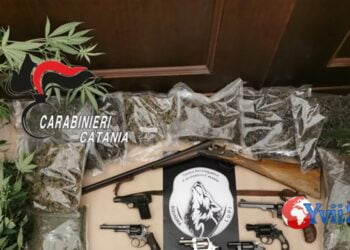 Catania. Serra di droga e armi in casa, ai domiciliari 40enne