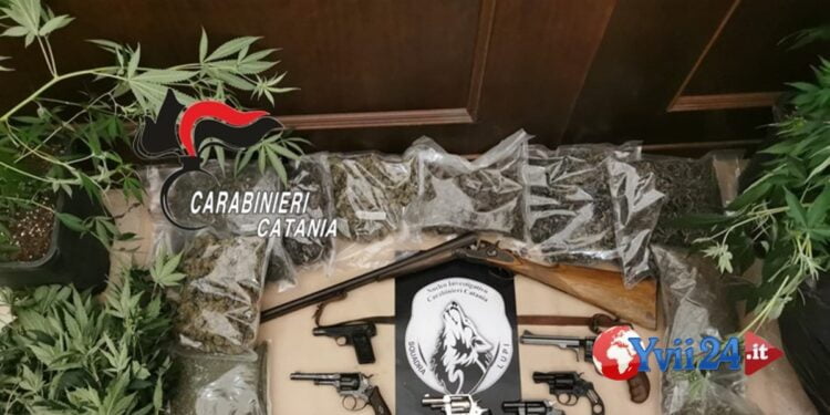 Catania. Serra di droga e armi in casa, ai domiciliari 40enne
