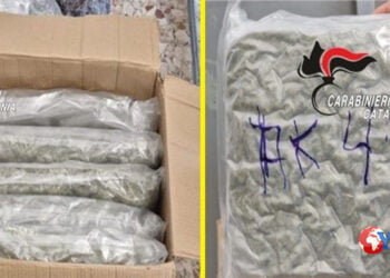 Catania. Arrestato pregiudicato per importazione di droga