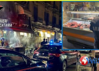 Catania. Carabinieri emettono due denunce