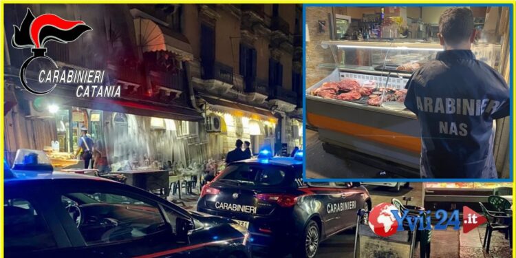 Catania. Carabinieri emettono due denunce