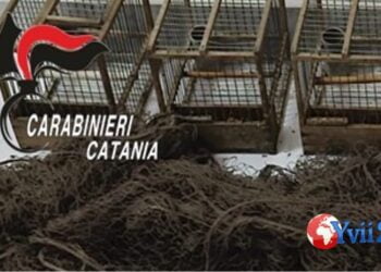 Prov. Catania. Uccelli di specie protetta in auto, denunciato 42enne
