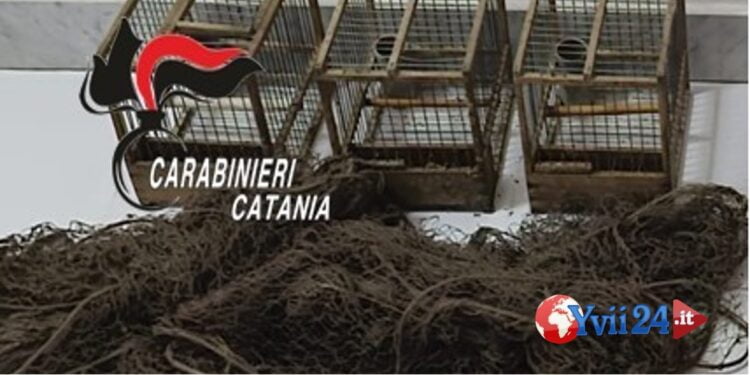 Prov. Catania. Uccelli di specie protetta in auto, denunciato 42enne