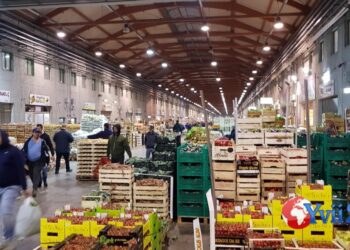 Catania. Estorsione a un commerciante, 2 persone arrestate