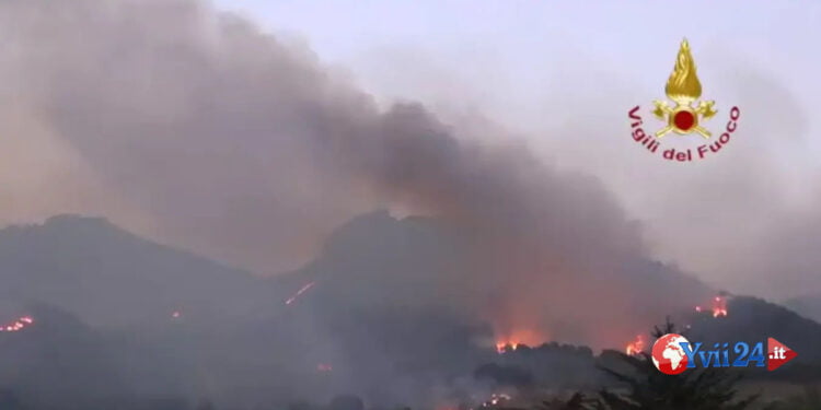 Sicilia. 43 incendi in un giorno