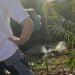 Sicilia. Arrestati per appresamenti abusivi di acqua