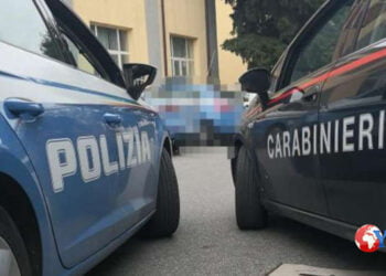 Sicilia. Arrestato 18enne per maltrattamenti, incendio e danni