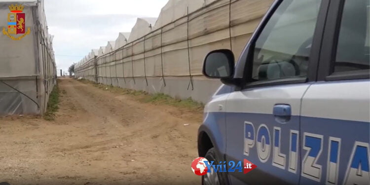 Sicilia. Caporalato e sfruttamento di extracomunitari