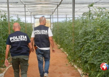 Sicilia. Operazione di Polizia contro il caporalato