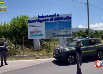 Sicilia. Scoperta frode all’UE nel settore agricolo