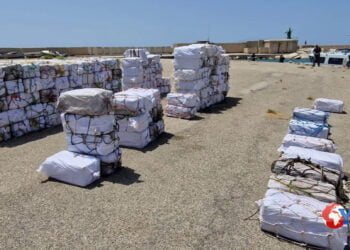 oltre 5,3 tonnellate di sostanza stupefacente del tipo cocaina