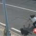 Catania. Uomo aggredito da tre cani al Porto