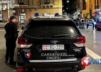 Biancavilla-Paternò. Controllo territorio, quasi 14mila euro di multe