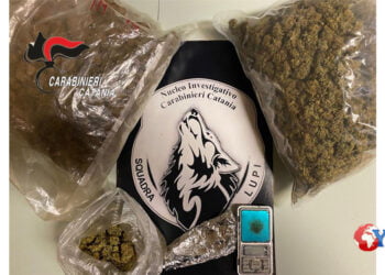 un incensurato per spaccio con quasi 2 kg di droga nell’abitazione. Amnésia che cos’è ?