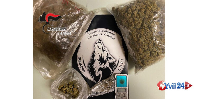 un incensurato per spaccio con quasi 2 kg di droga nell’abitazione. Amnésia che cos’è ?