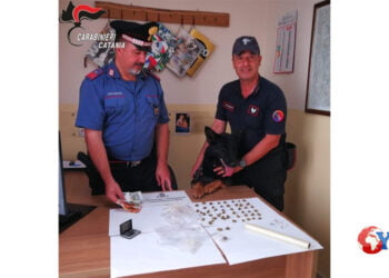 Arrestati, dai CC del Comando Stazione di Zafferana Etnea insieme ai militari del Nucleo Cinofili di Nicolosi, due fratelli pusher del luogo