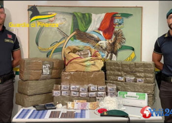 un box deteneva hashish e cocaina