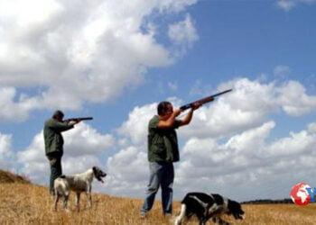 Rigettato il ricorso delle associazioni animaliste per l’annullamento del calendario venatorio regionale. La caccia apre il 17 settembre