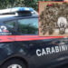 I CC di Catania hanno arrestato un pusher che si faceva chiamare Maverick come nel film Top Gun poiché nella consegna era veloce